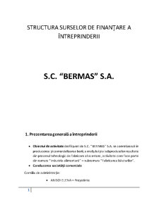 Structura Surselor de Finanțare a Întreprinderii - Pagina 1