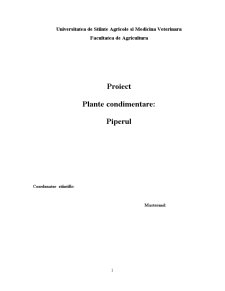 Plante Condimentare - Piperul - Pagina 1