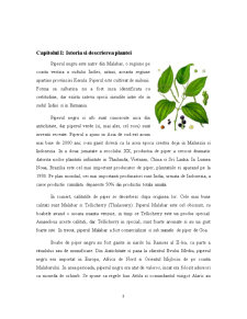 Plante Condimentare - Piperul - Pagina 3