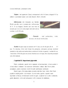 Plante Condimentare - Piperul - Pagina 5