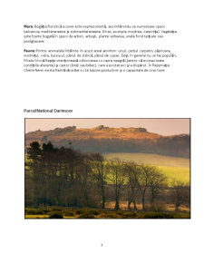 Analiza comparativă a două arii protejate Cheile Nerei-Darmoor - Pagina 4