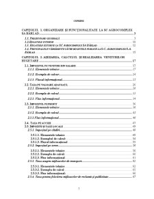 Fundamentarea și realizarea veniturilor bugetare la SC Agrocomplex SA Bârlad - Pagina 1