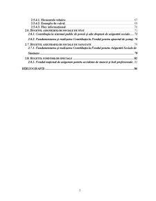 Fundamentarea și realizarea veniturilor bugetare la SC Agrocomplex SA Bârlad - Pagina 2