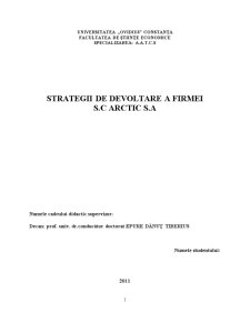 Strategii de Dezvoltare a Firmei Arctic - Pagina 1