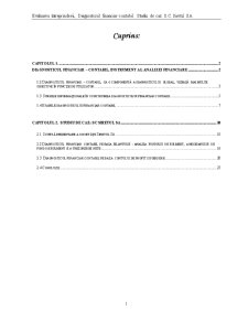 Evaluarea întreprinderii diagnosticul financiar-contabil - SC Siretul SA - Pagina 1