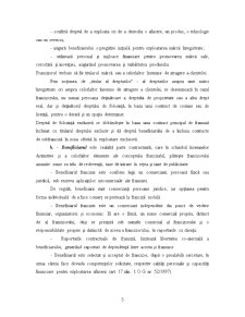 Contractul de franciză - Pagina 5
