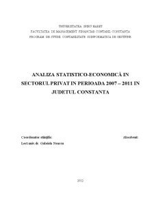 Analiza Statistico-Economica în Sectorul Privat - Pagina 2