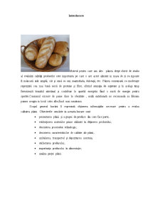 Evaluarea calității produsului - pâinea de faină de grâu - Pagina 3