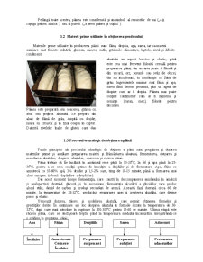Evaluarea calității produsului - pâinea de faină de grâu - Pagina 5