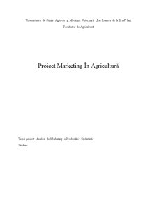 Analiza de Marketing a Produsului Smântână - Pagina 1