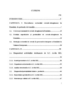 Analiza Diagnostic a SC Acvila SRL Măcin - Pagina 3