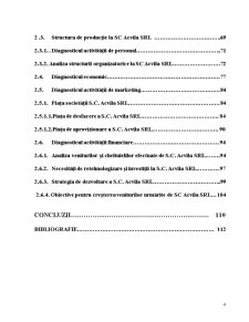 Analiza Diagnostic a SC Acvila SRL Măcin - Pagina 4