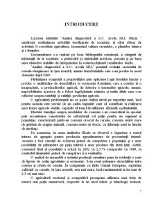 Analiza Diagnostic a SC Acvila SRL Măcin - Pagina 5