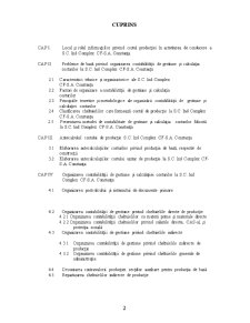 Organizarea Contabilității de Gestiune și a Calculației Costurilor în Condițiile Aplicării Metodei pe Comenzi - Pagina 2