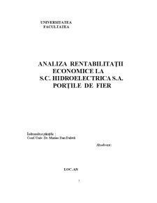 Analiza rentabilității economice la SC Hidroelectrica SA Porțile de Fier - Pagina 1
