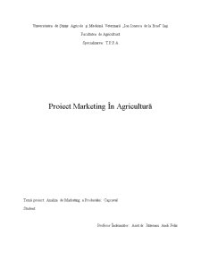 Analiza de piață a produsului cașcaval - Pagina 1