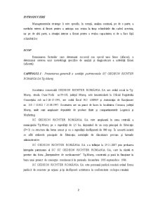 Analiza mediului la SC Gedeon Richter România SA Târgu-Mureș - Pagina 3