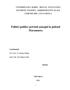 Politici Publice Privind Șomajul în Județul Maramureș - Pagina 2