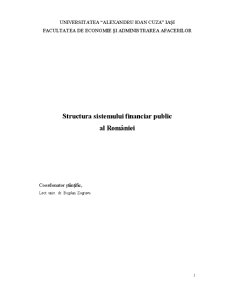 Structura sistemului financiar public din România - Pagina 1