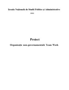 Organizația non-guvernamentală Team Work - Pagina 1
