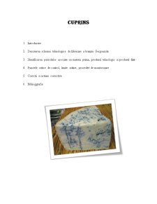 Studiul HACCP la fabricarea brânzei gorgonzola - Pagina 2