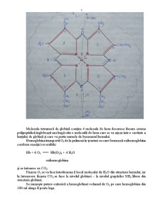 Biochimie - Pagina 3