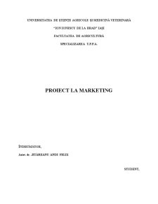 Analiza de piață a produsului bere - Pagina 1