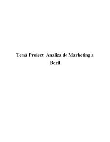 Analiza de piață a produsului bere - Pagina 2