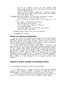 Analiza Mediului de Marketing al Firmei SC Metabras SA - Pagina 3