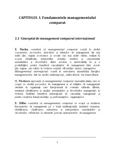 Management Comparat - Italia și China - Pagina 3