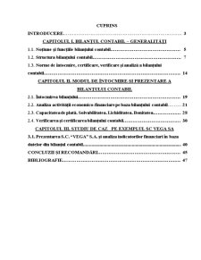 Bilanțul contabil - modul de întocmire și prezentare a acestuia în baza SC Vega SA - Pagina 1