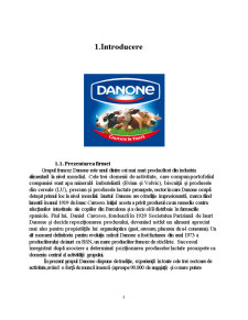 Activitatea de Marketing a Firmei Danone - Pagina 3