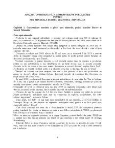 Analiza Comparativă a Demersurilor Publicitare pentru Apa Minerala Borsec și Izvorul Minunilor - Pagina 3