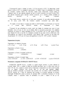 Analiza Comparativă a Demersurilor Publicitare pentru Apa Minerala Borsec și Izvorul Minunilor - Pagina 5