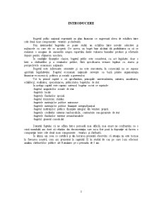 Analiza Execuției Bugetului Public al României - Pagina 3