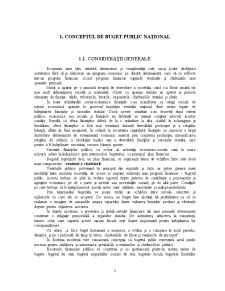 Analiza Execuției Bugetului Public al României - Pagina 4