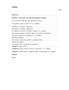 Metode și tehnici manageriale la întreprinderea de producție SA Bere-Unitanc - Pagina 2