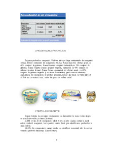 Margarina Rama - comportamentul consumatorului - Pagina 4