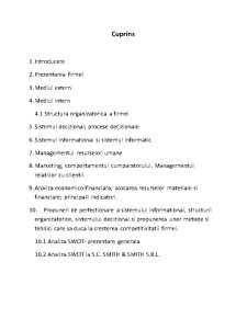 Proiect practică management - SC Smith & Smith SRL - Pagina 2