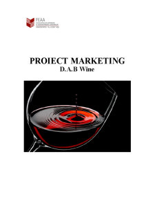 Marketing - Un Nou Produs de Vin - Pagina 1