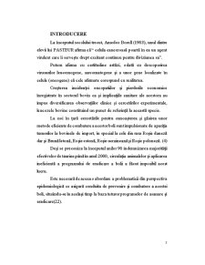 Epidemiologia Leucozei Enzootice Bovine - Pagina 4
