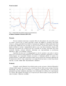 Studiu privind dimensiunea și modul de manifestare a unităților din industria alimentară în perioada 2005-2010 - Pagina 4
