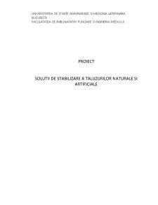 Soluții de stabilizare a taluzurilor naturale și artificiale - Pagina 1