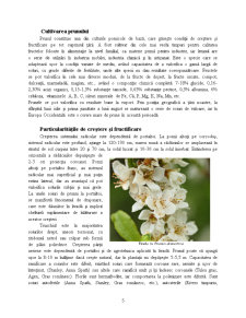 Prunul - Pagina 5