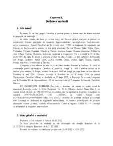 Raport de Evaluare SC Carrefour România SA - Pagina 3