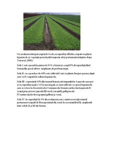 Obținerea produselor ecologice din categoria legumelor rădăcinoase - Pagina 4