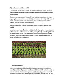 Obținerea produselor ecologice din categoria legumelor rădăcinoase - Pagina 5