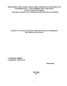 Auditul Contului de Execuție Bugetară la Primăria Bucerdea Grânoasă - Pagina 2
