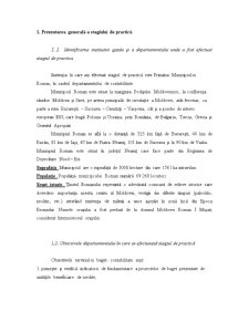 Raport de practică - Primăria Municipiului Roman - Pagina 1