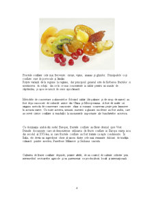 Condiționarea și păstrarea produselor agricole - fructele confiate - Pagina 4